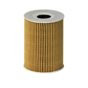 Hengst Engine Oil Filter E113H D181