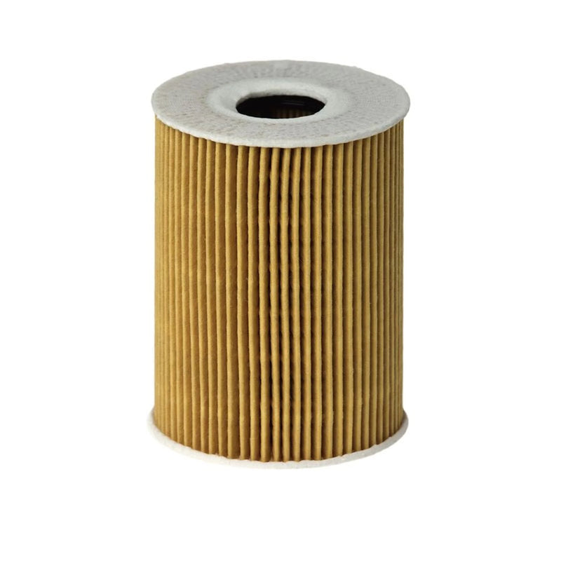 Hengst Engine Oil Filter E113H D181