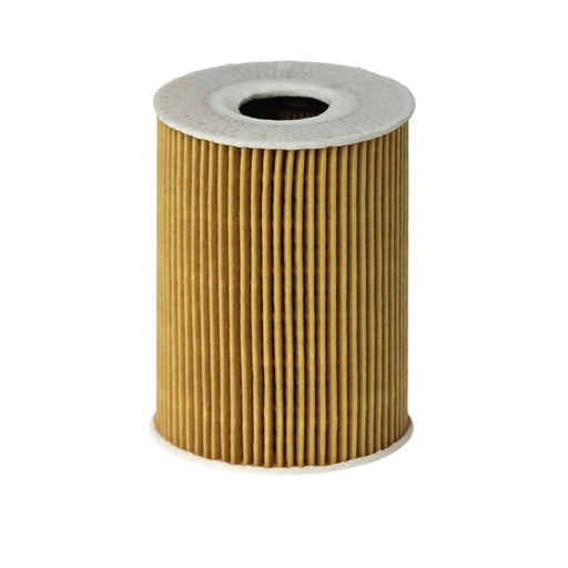 Hengst Engine Oil Filter E113H D181