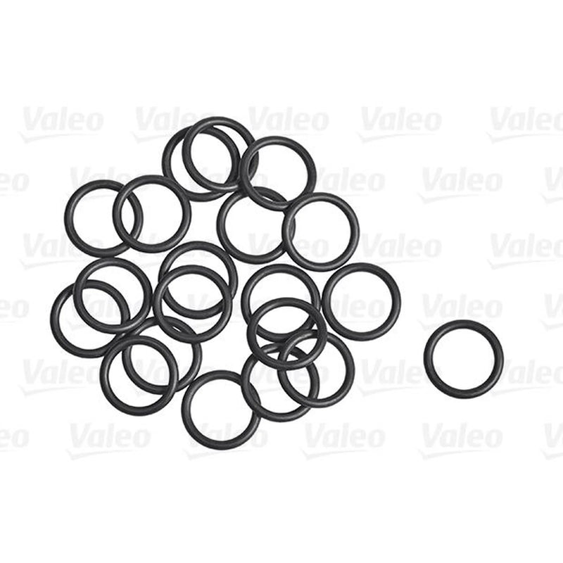 Valeo A/C O'Ring - Bag Per 20 509305 92475-W2100 509305