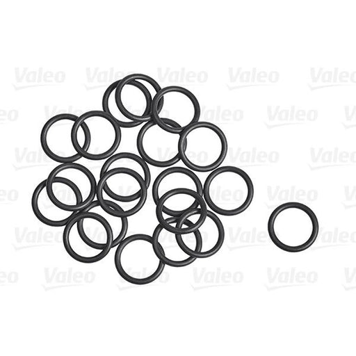 Valeo A/C O'Ring - Bag Per 20 509305 92475-W2100 509305