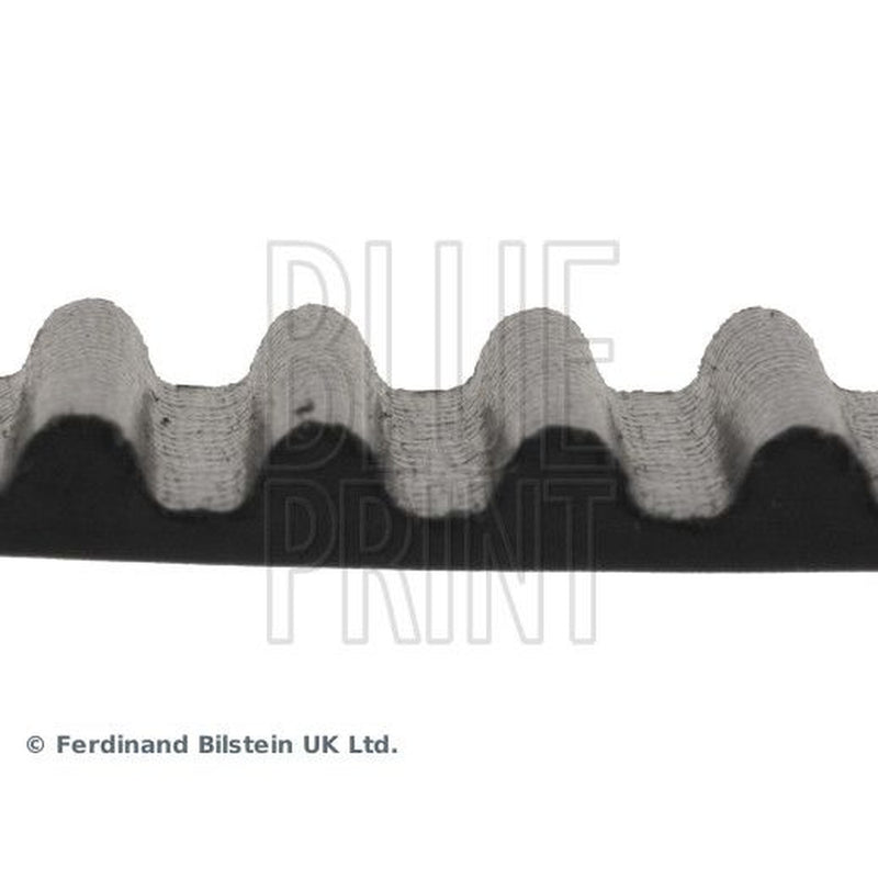 Blue Print Timing Belt Cambelt 201 Teeth ADA107501