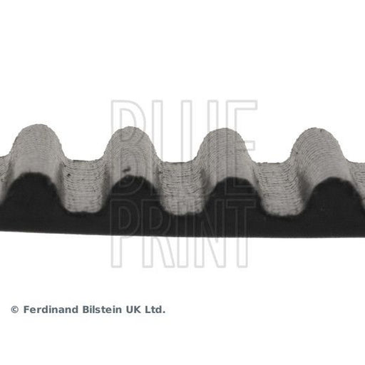 Blue Print Timing Belt Cambelt 201 Teeth ADA107501