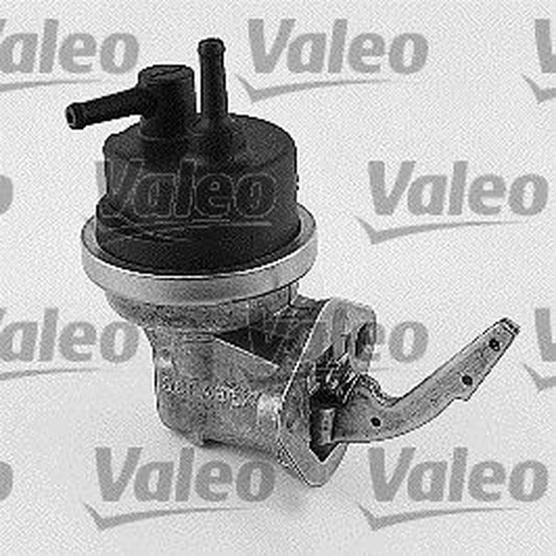 Valeo Fuel Pump Assembly 247089