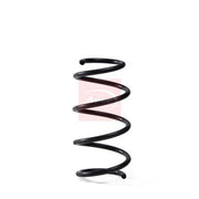 Apec Front Suspension Coil Spring ACS2089