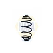 NAPA Rear Suspension Coil Spring NCS1313