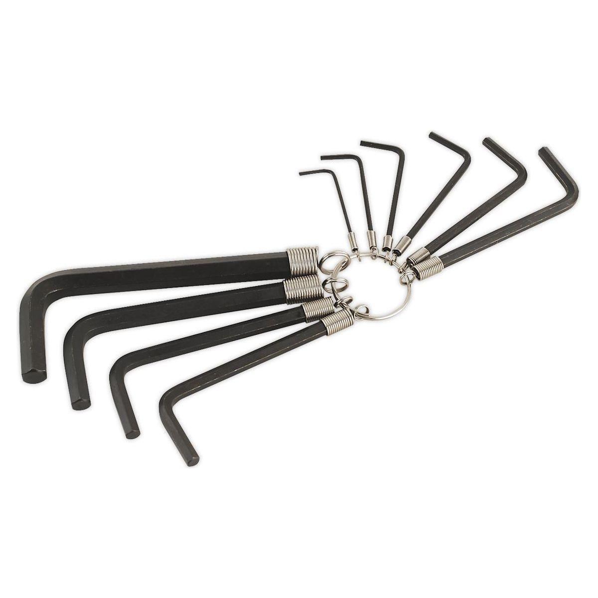 Sealey Hex Key Set on Ring 10pc Metric AK6148 Sealey  - Town Parts