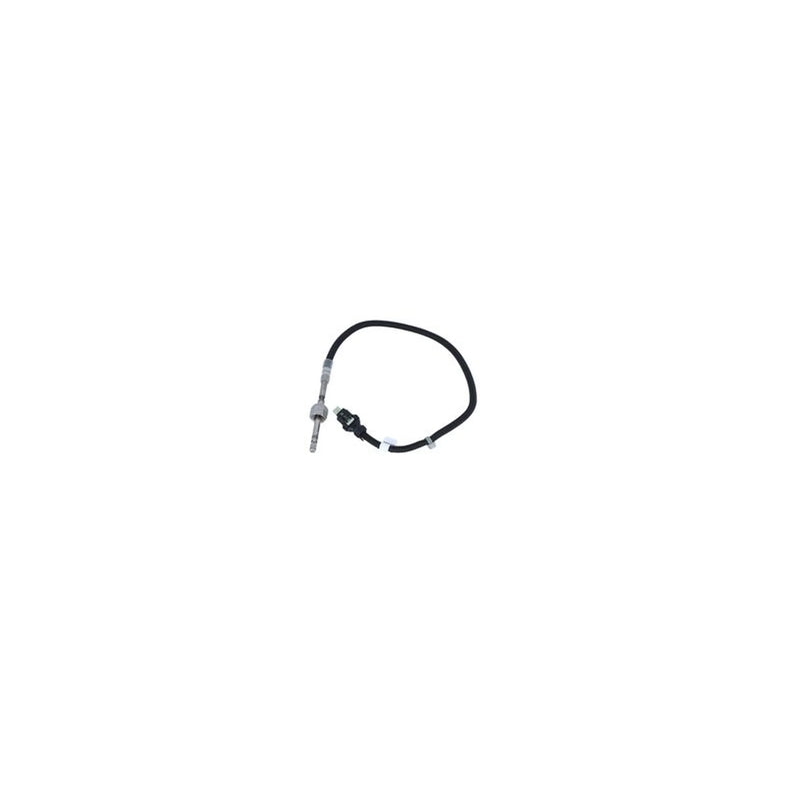 NRF Exhaust Gas Temperature Sensor before soot partic 707164