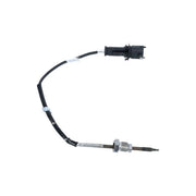 NRF Exhaust Gas Temperature Sensor before soot particulate fil 707053