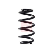 Apec Rear Suspension Coil Spring ACS2257