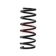 Apec Rear Suspension Coil Spring ACS2423