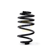 NAPA Rear Suspension Coil Spring NCS2294
