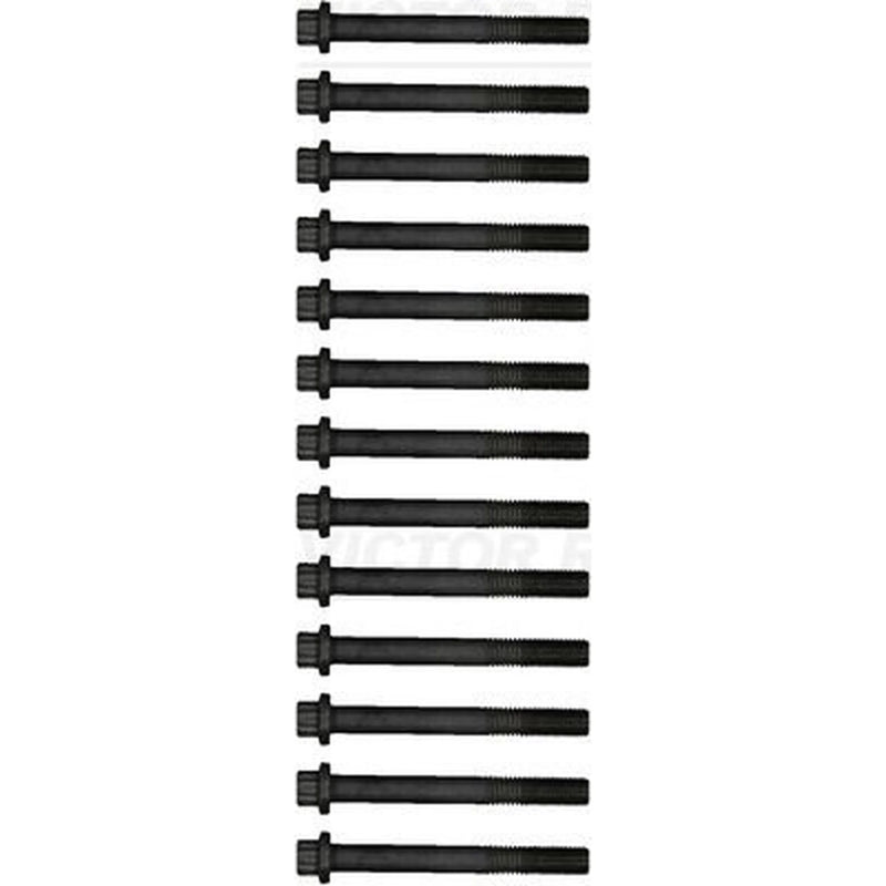 Victor Reinz Cylinder Head Bolt Set M14 14-19072-02
