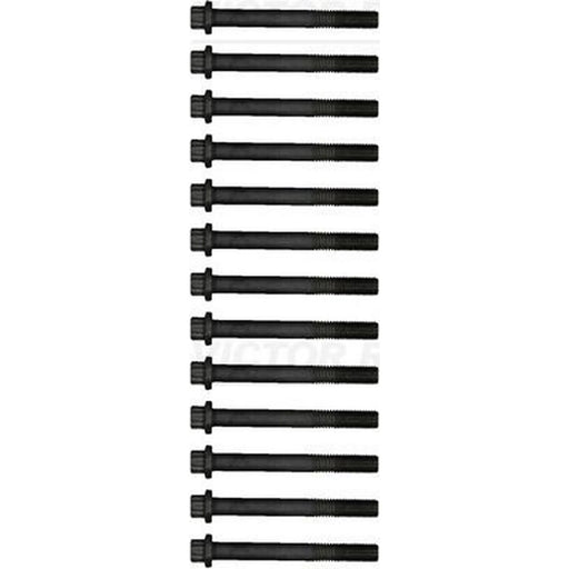 Victor Reinz Cylinder Head Bolt Set M14 14-19072-02