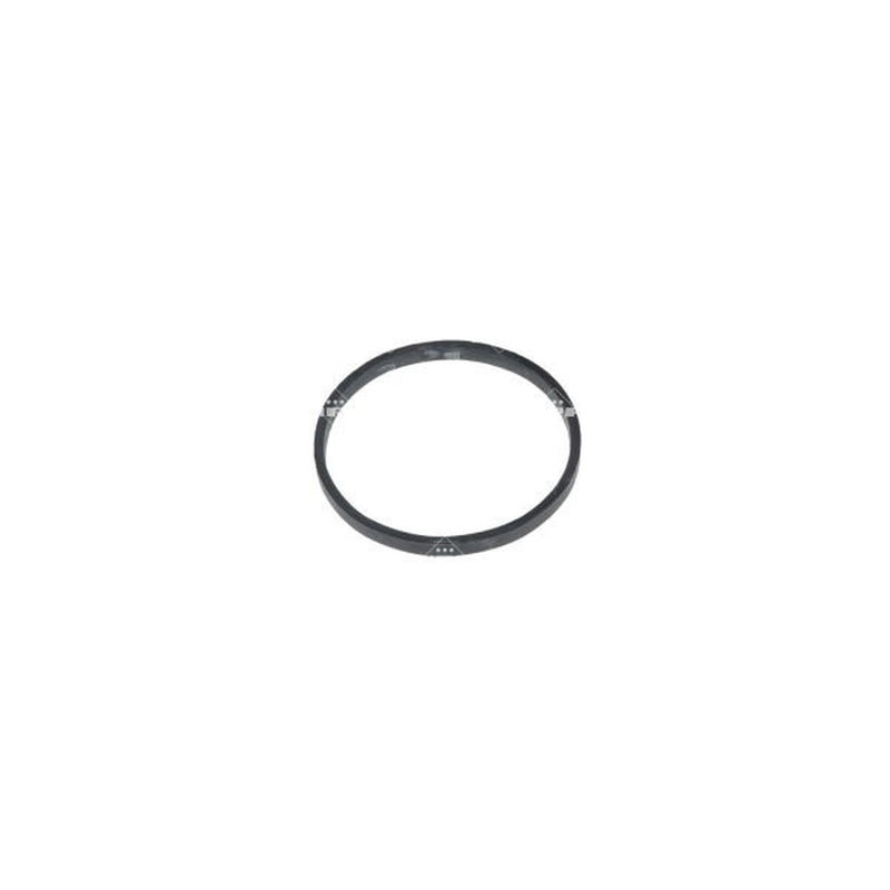 NRF Thermostat,Coolant 725245