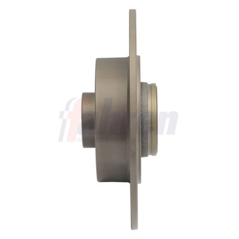 Fahren 2 x Solid Rear Brake Discs FBD6665