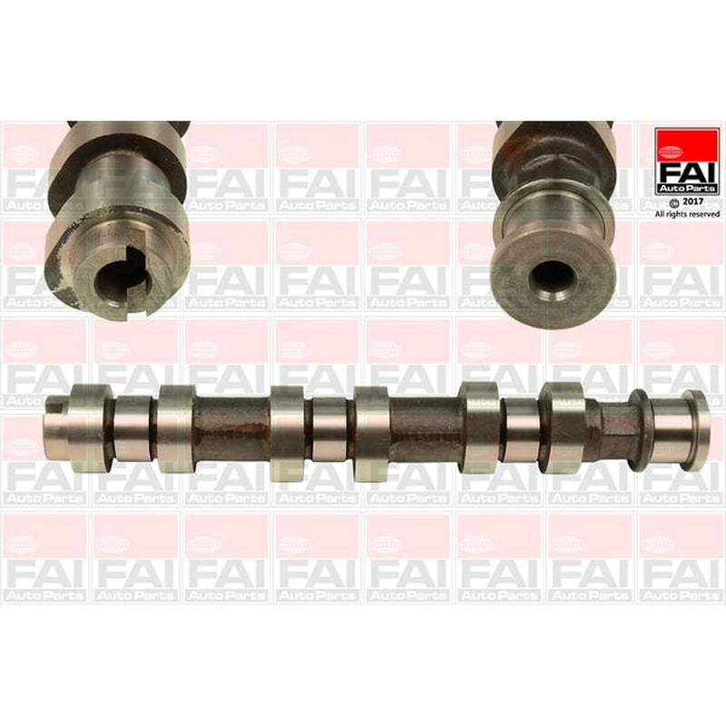 FAI Engine Camshaft Lobes C318