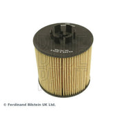 Blue Print Engine Oil Filter ADV182104