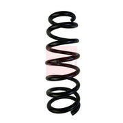 Apec Front & Rear Suspension Springs ACS1672