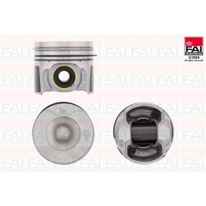 FAI Piston Cylinder Bore = PK291-050