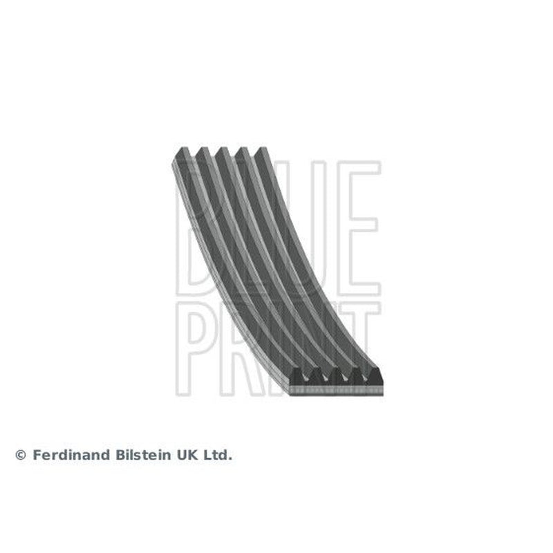 Blue Print Multi V-Ribbed Drive Belt AD05R1138