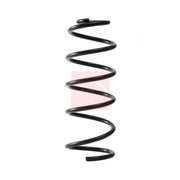 Apec Front Suspension Coil Spring ACS2313