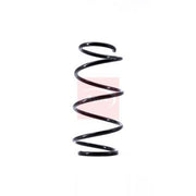 Apec Front & Rear Suspension Springs ACS1170