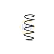 NAPA Front Suspension Coil Spring NCS1586