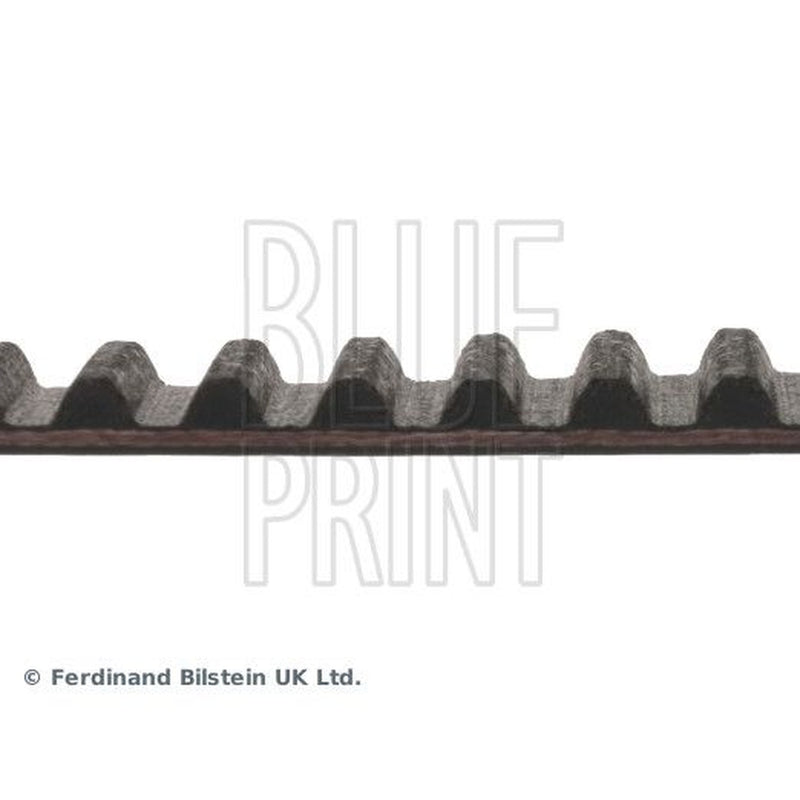 Blue Print Timing Belt Cambelt 220 Teeth ADA107502