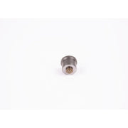 Bosch Engine Control Valve 2 418 554 063