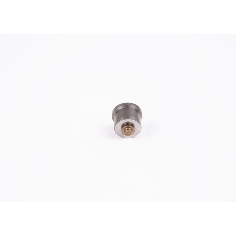 Bosch Engine Control Valve 2 418 554 063