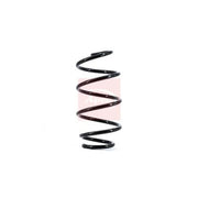 Apec Front Suspension Coil Spring ACS1655