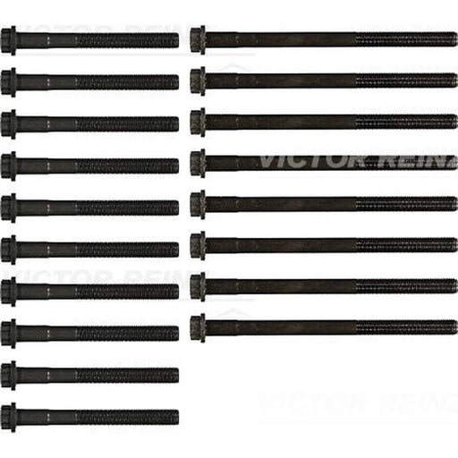 Victor Reinz Cylinder Head Bolt Set M11 14-55034-01