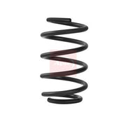 Apec Front & Rear Suspension Springs ACS2151
