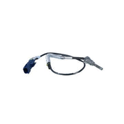 NRF Exhaust Gas Temperature Sensor before exhaust turbocha 707293