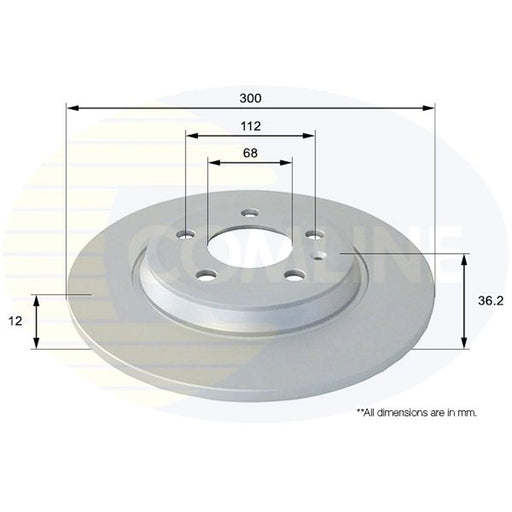 Comline 2 x Solid Rear Brake Discs ADC1478