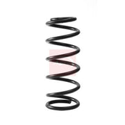 Apec Rear Suspension Coil Spring ACS2390