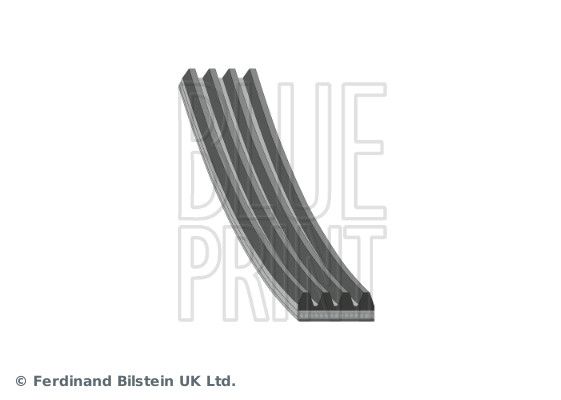 Blue Print Multi V-Ribbed Drive Belt