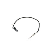 NRF Exhaust Gas Temperature Sensor before soot particulate fi 707443