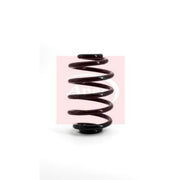 Apec Rear Suspension Coil Spring ACS1149