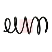 Apec Front Suspension Coil Spring ACS1790