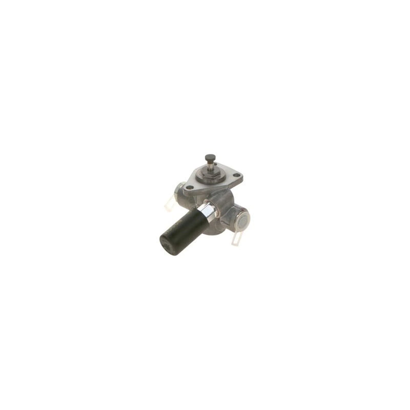 Bosch Fuel Pump Assembly 0 440 003 251