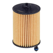 Hengst Engine Oil Filter E343H D476