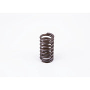 Bosch Compression Spring 2 434 614 019