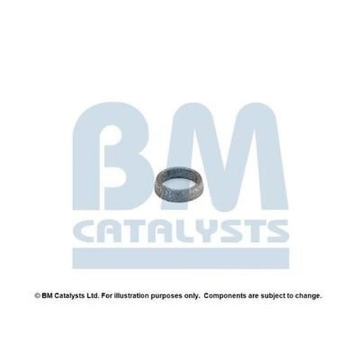 BM Catalysts Fitting Kit FK91204A FK91204A