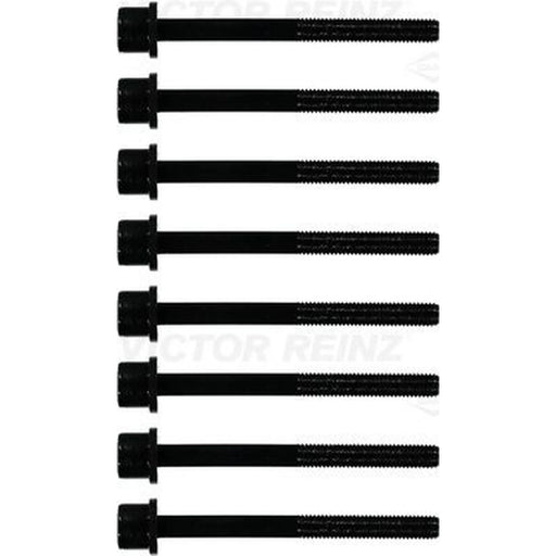 Victor Reinz Cylinder Head Bolt Set M10 14-10014-01