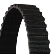 Continental CTAM Timing Belt Cambelt 92 Teeth CT715