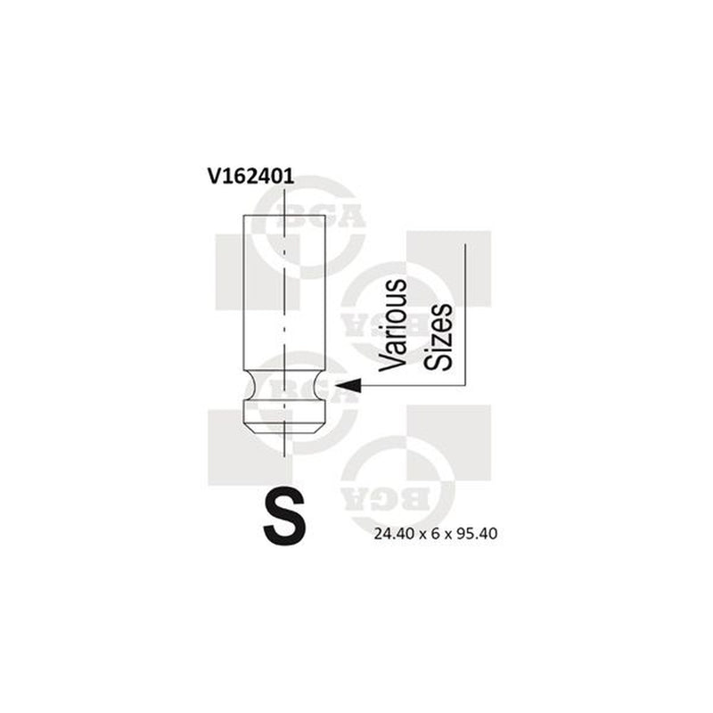 BGA Engine Exhaust Valve 24mm Head V162401