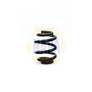 NAPA Rear Suspension Coil Spring NCS1290