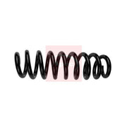 Apec Front & Rear Suspension Springs ACS1912